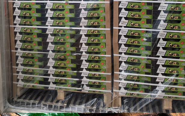 Market Preparation and Consumer Handling